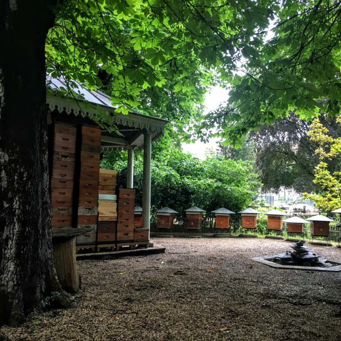 Des ruches en plein coeur du jardin du Luxembourg